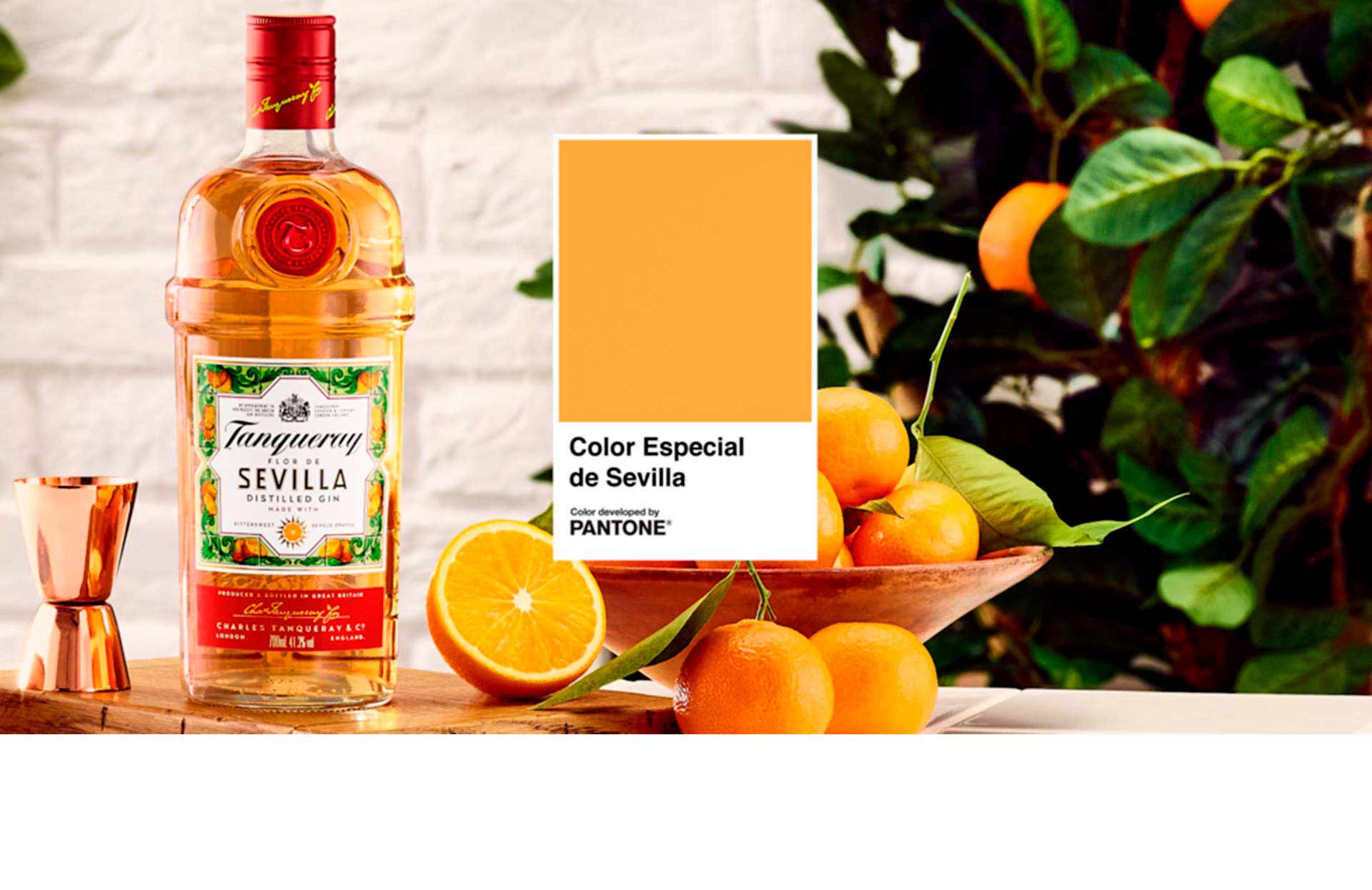 proyecto_tanqueray_1