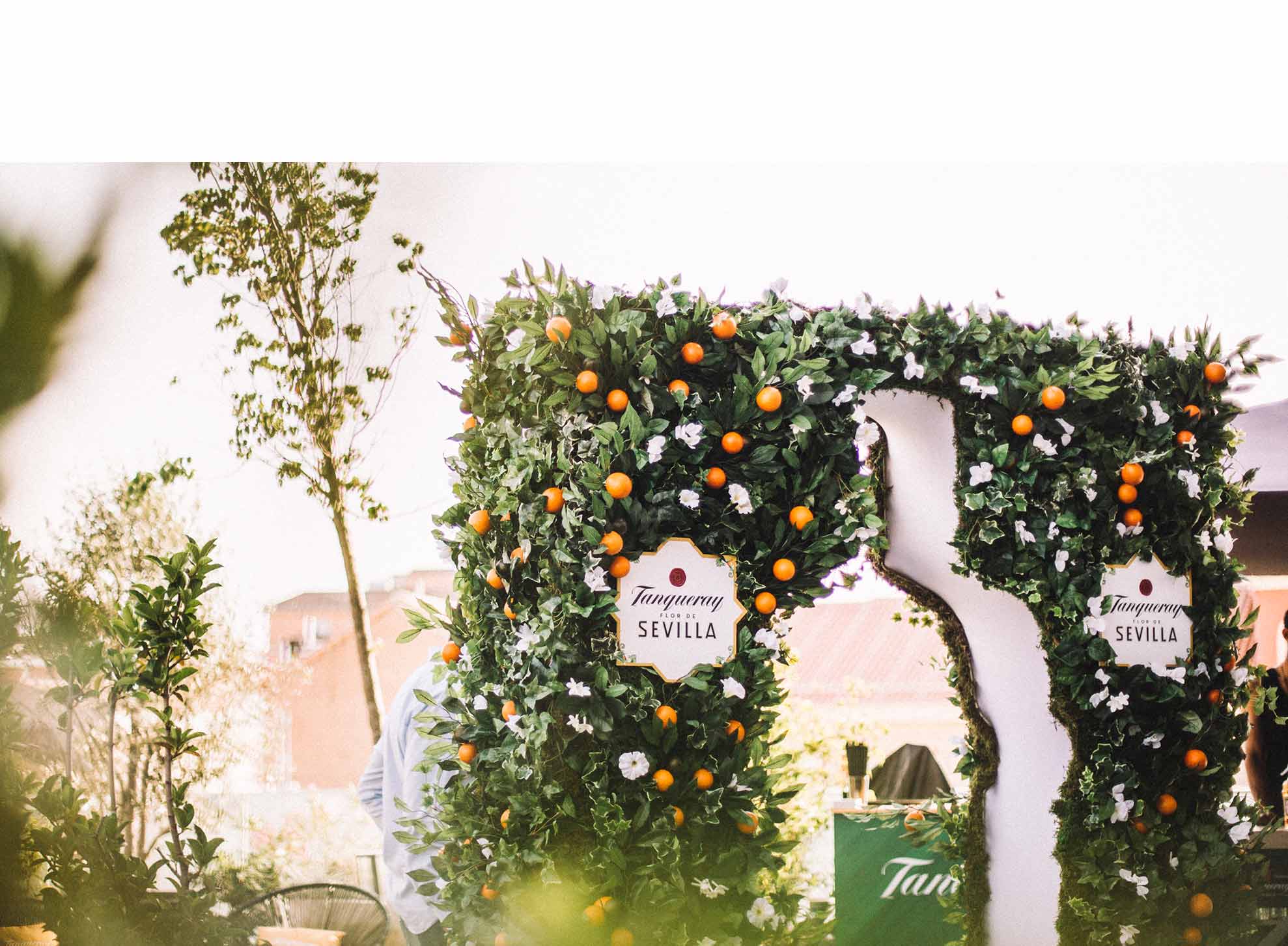 proyecto_tanqueray_5